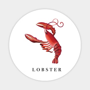 Lobster Magnet